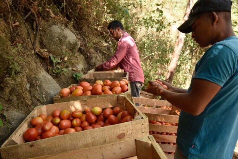 EU busca romper el sistema de libre comercio y rearmarlo con nuevas reglas: Estrada